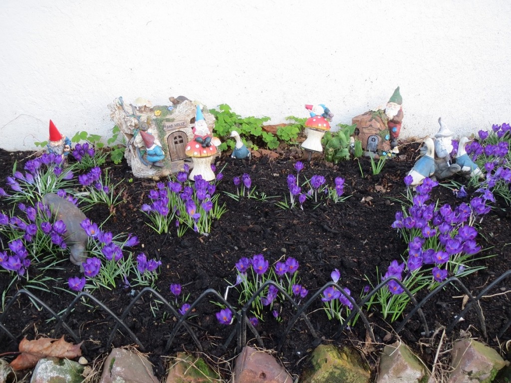 Spring Gnomes